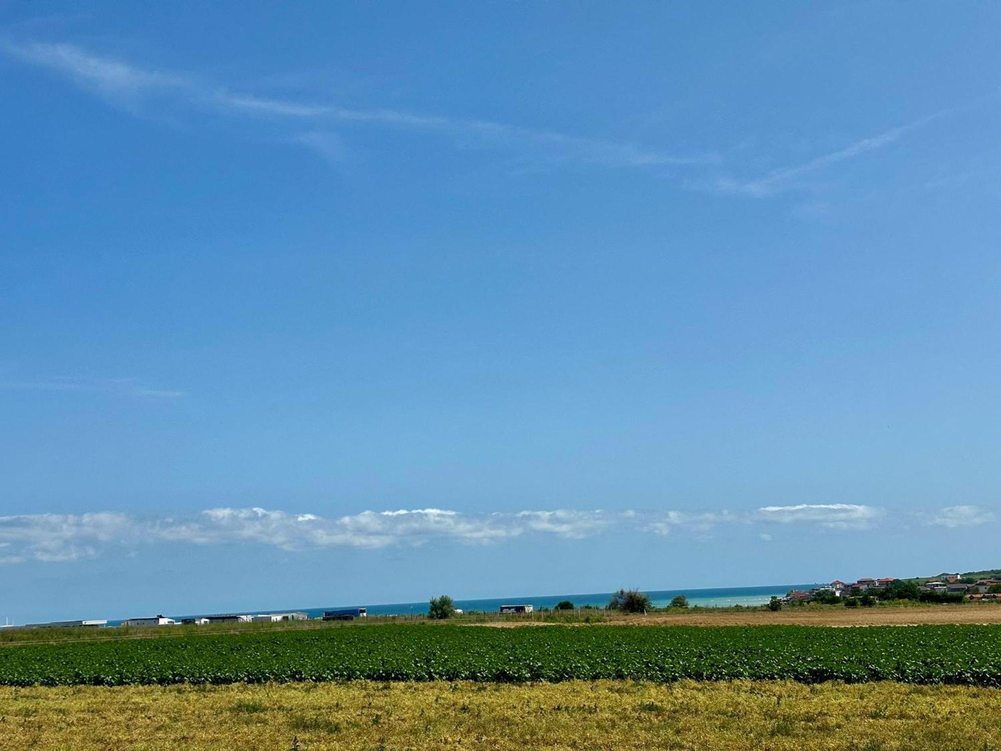 Vila Carmen Vama Veche Εξωτερικό φωτογραφία